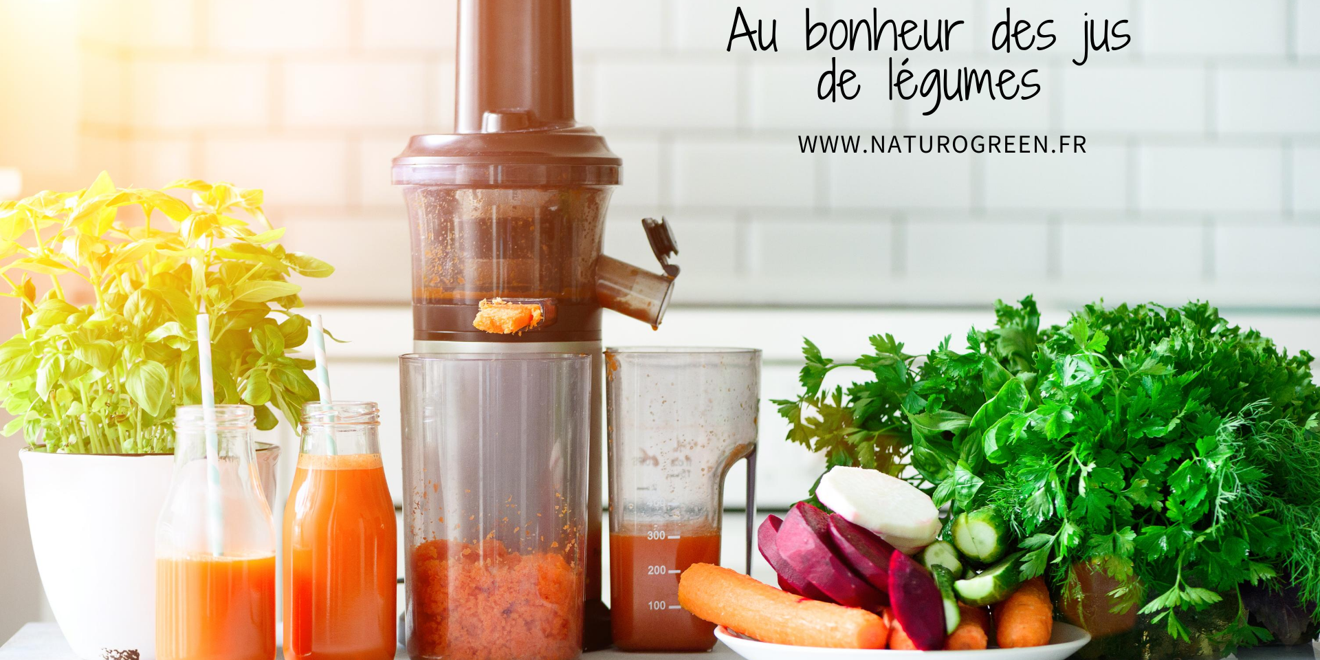 jus de légumes et naturopathie jus de legumes