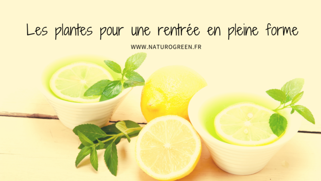 rentree et plantes