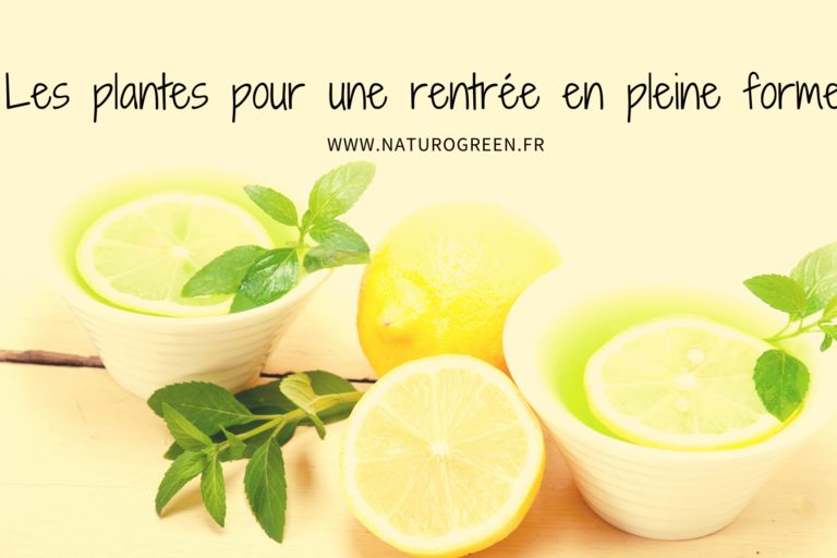 rentree et plantes