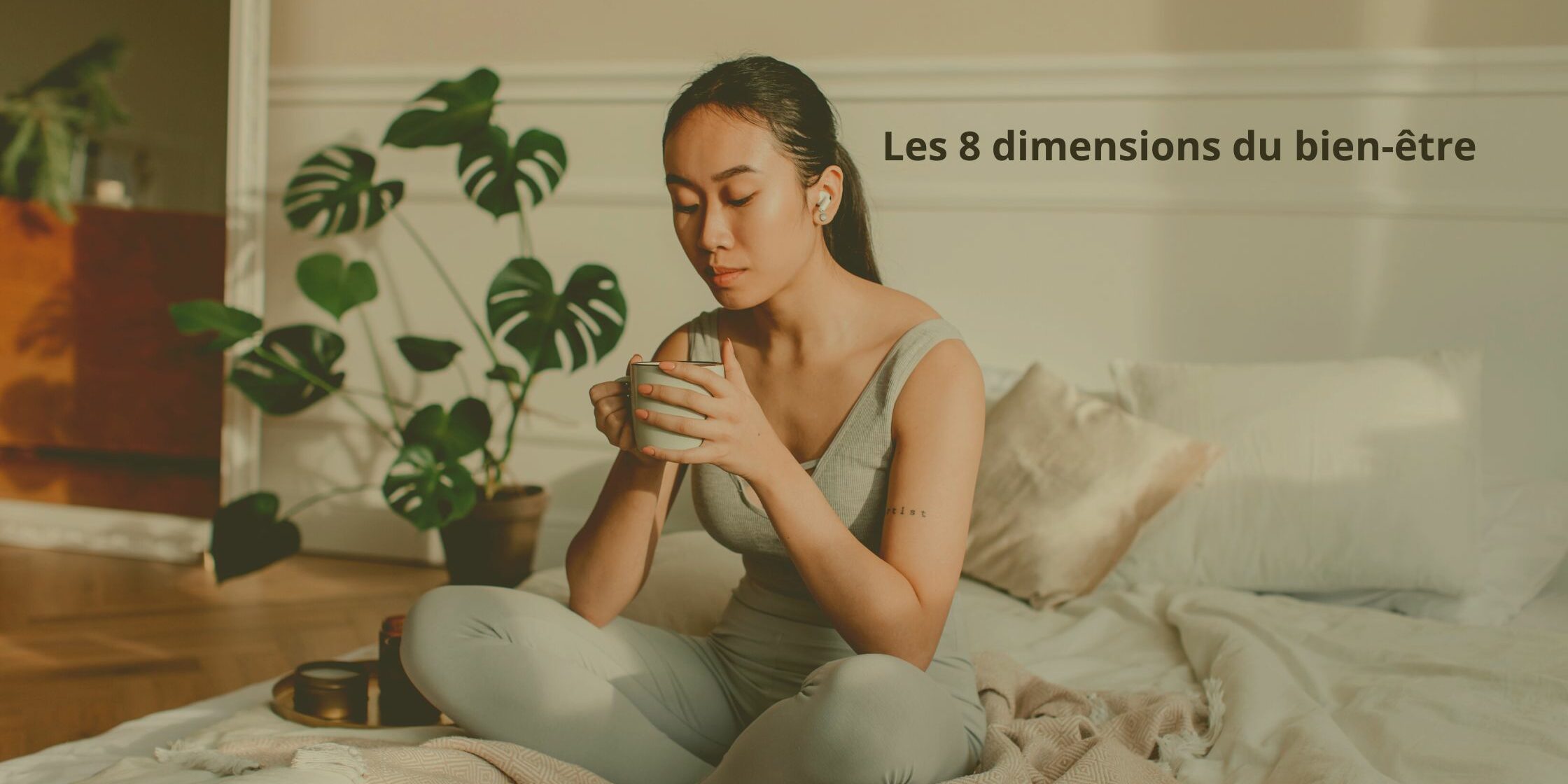 8 dimensions du bien etre bien etre et naturopathie